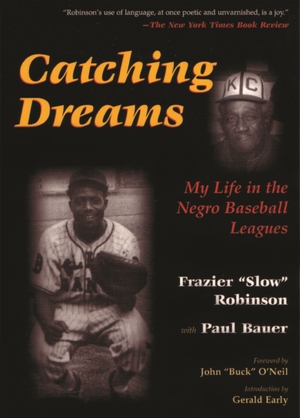 Cover for the book: Catching Dreams