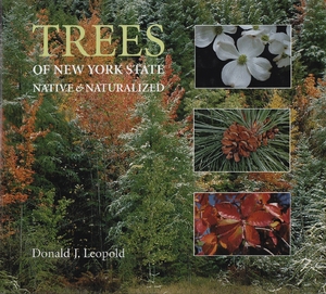Cover for the book: Trees of New York State