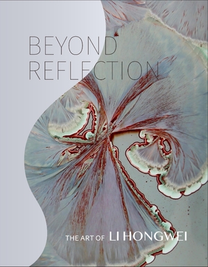 Cover for the book: Beyond Reflection