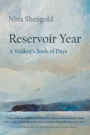Cover for the book: Reservoir Year