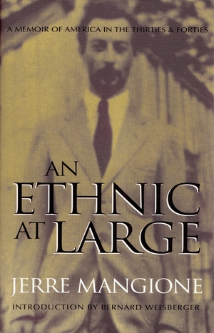 Cover for the book: Ethnic At Large, An