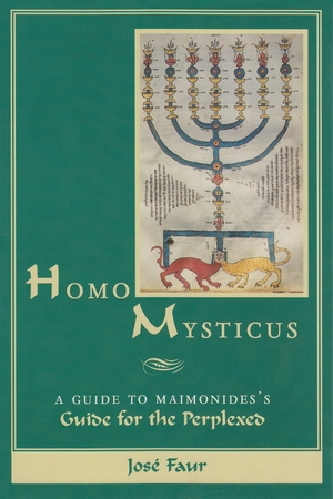 Cover for the book: Homo Mysticus