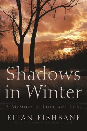 Cover for the book: Shadows in Winter
