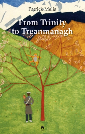 Cover for the book: From Trinity to Treanmanagh