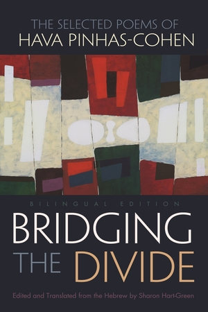 Cover for the book: Bridging the Divide