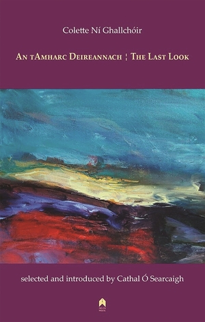 Cover for the book: An tAmharc Deireannach / The Last Look