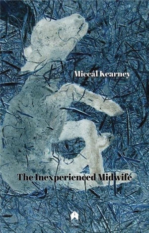 Cover for the book: Inexperienced Midwife, The
