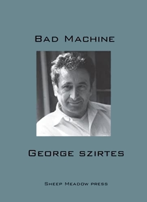 Cover for the book: Bad Machine