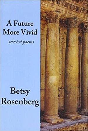 Cover for the book: Future More Vivid, A