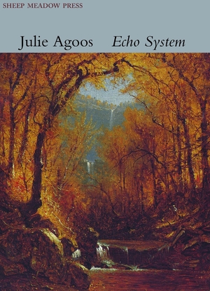 Cover for the book: Echo System