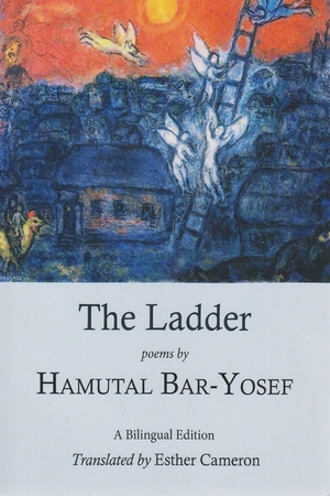 Cover for the book: Ladder, The