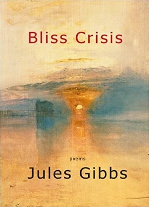 Cover for the book: Bliss Crisis