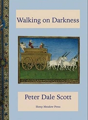 Cover for the book: Walking on Darkness