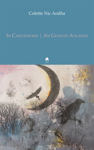 Cover for the book: In Castlewood / An Ghaoth Aduaidh