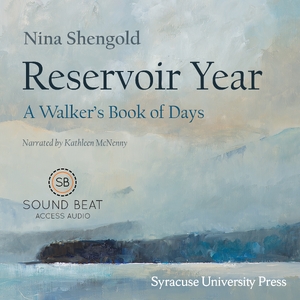 Cover for the book: Reservoir Year