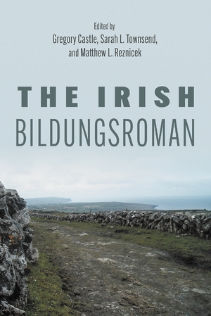 Cover for the book: Irish Bildungsroman, The