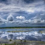 Excerpt: Wisdom of the Marsh